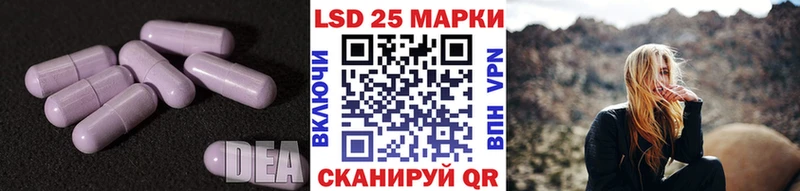 kraken ссылки Великий Устюг Лсд 25 экстази ecstasy